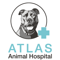 Atlas Animal Hospital